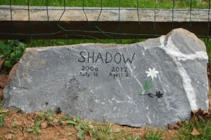 shadow 2012 032